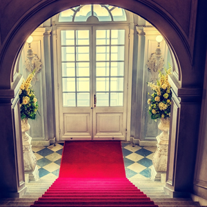 red carpet going down stairs to a door